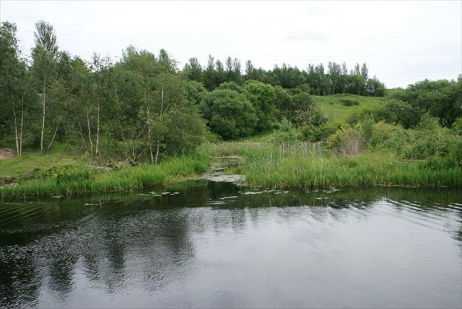 View across to nature reserve