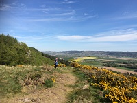 View from Moncreiffe Hill