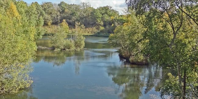 Paget's Pool