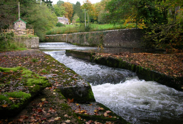 Llangenny Salmon Ladder