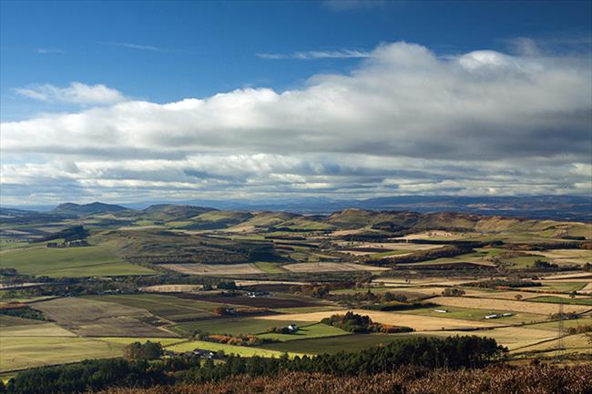 The Sidlaws from Auchterhouse Hill