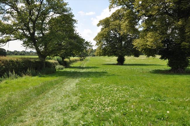 Gawsworth field path