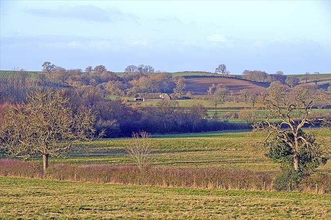 Eydon and Edgcote