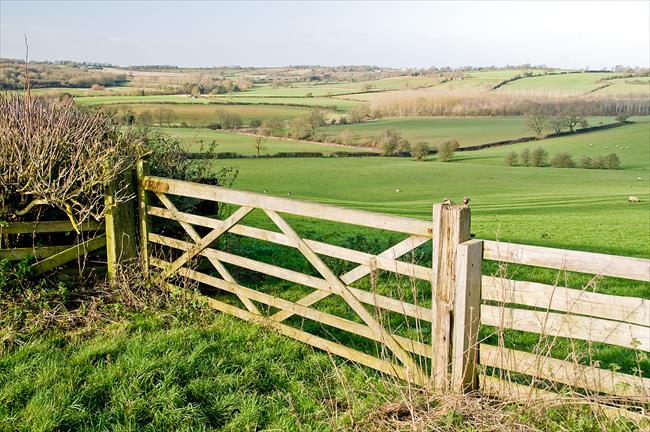 Eydon and Edgcote