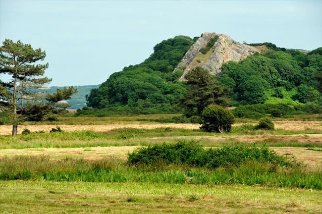 Whiteford Burrows