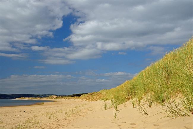 Whiteford Burrows