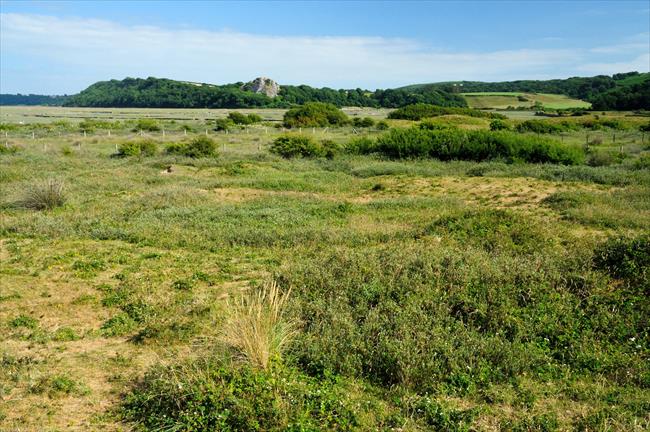 Whiteford Burrows