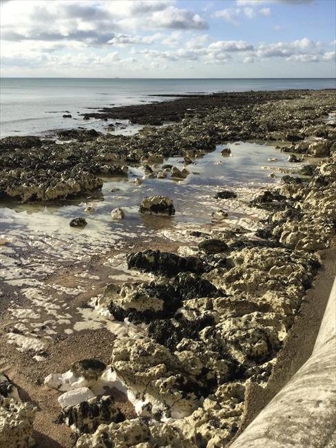 Low tide foreshore