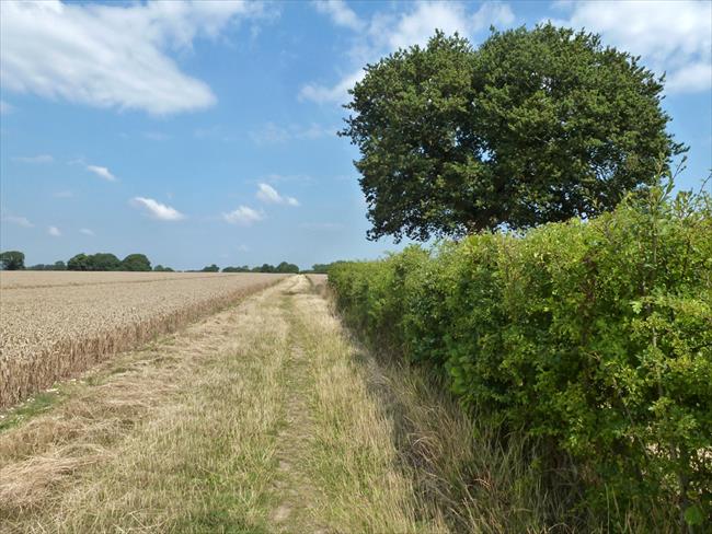 Sussex Border path