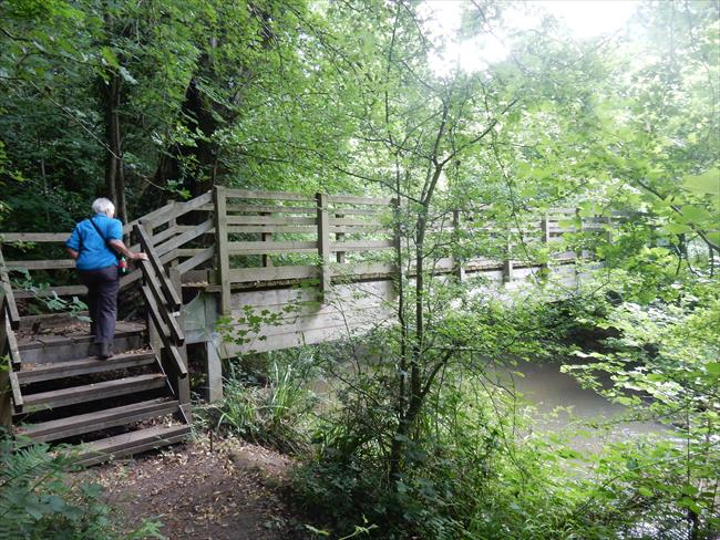 Replacement footbridge in Knapp Nature Reseve. The original was destroyed by floods in 2007. Between start and Point 2