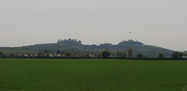 The Wittenham Clumps, Berkshire Bubs or Mother Dunch's Buttocks