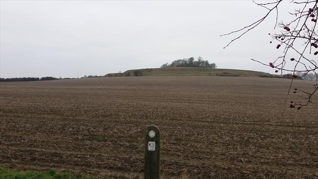 Castle Hill