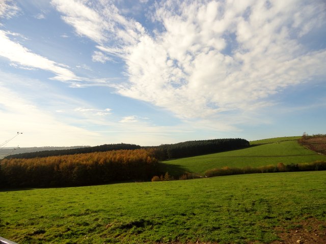 View above Langley Old hall