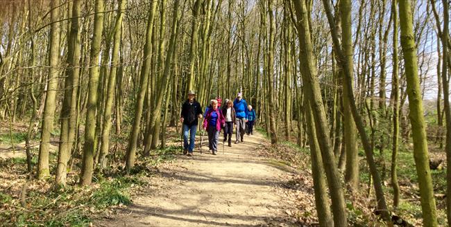 Roman Ridge in Wath Wood