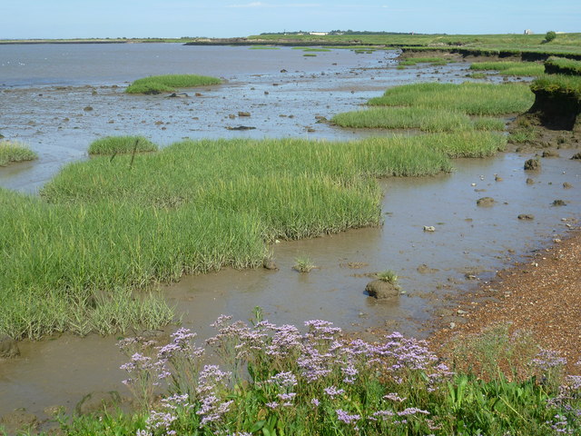 Higham Saltings