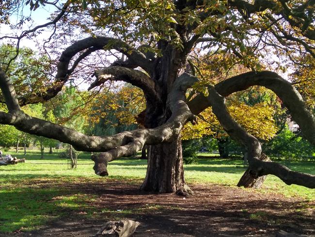 Clissold Park