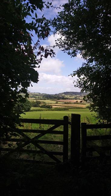 Looking north from Slwch Lane.