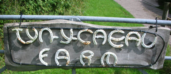 The sign on the gate for Tyn-y-Caeau farm