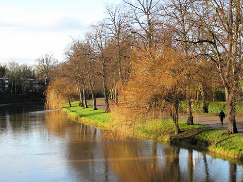 River Severn in the Quarry Park, Shrewsbury