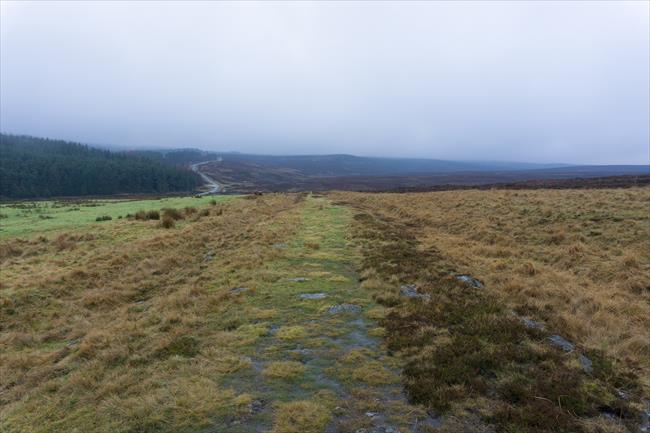 Wheeldale Roman Road