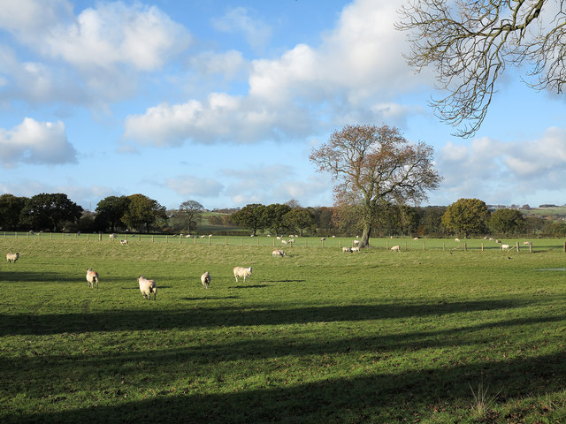 Farmland near Hunwick