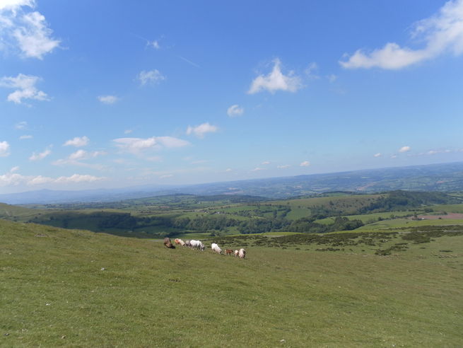 Wye Valley