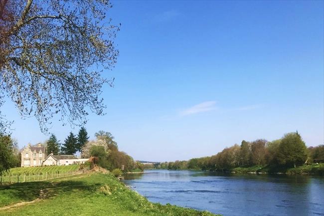 The river at Tayview