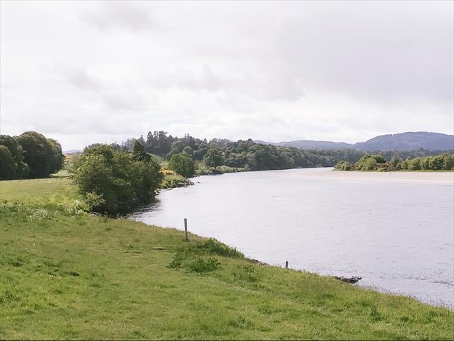 The Tay at Kercock