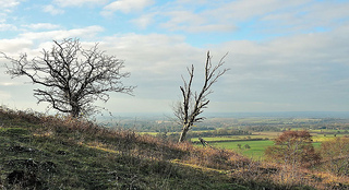 Aylesbury Vale