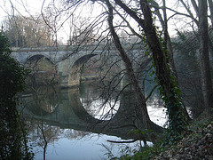 The River Wear Durham