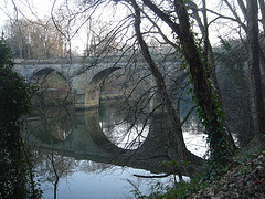 The River Wear Durham