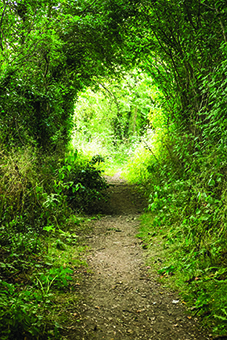Looking down Love Lane