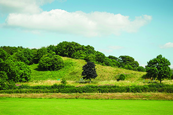 Llwyn Coppice