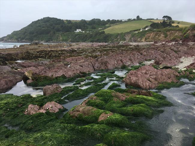 Rotterdam Beach at Talland Bay