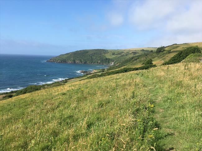 The South West Coast Path heading towards Talland Bay