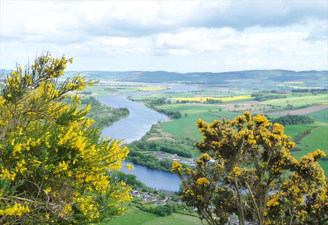 The Tay from Kinnoull Hill
