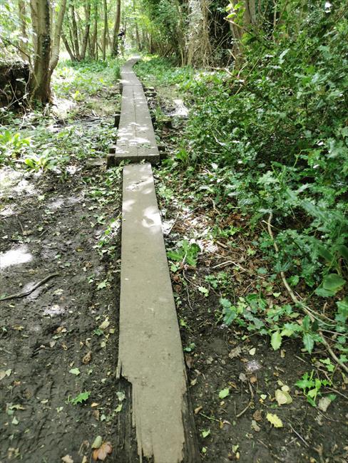 board-walk UPTON NATURE RESERVE