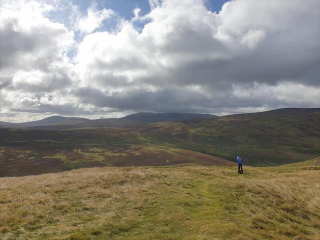 The Cheviot in the distance