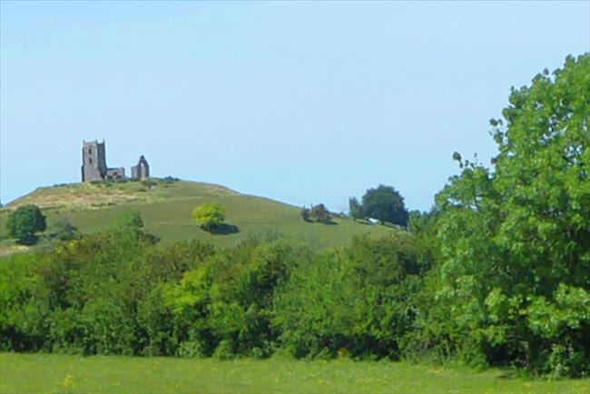 Burrow Mump