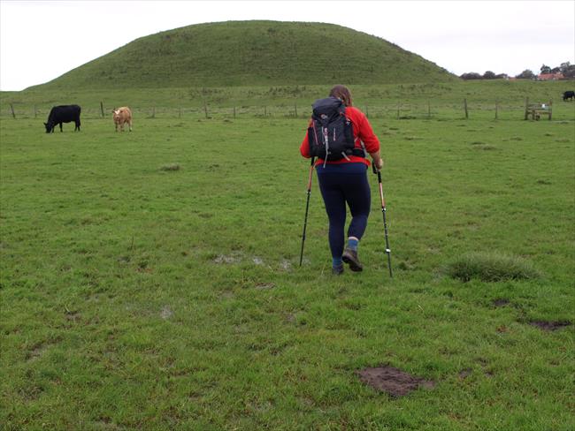 APPROACHING SKIPSEA CASTLE