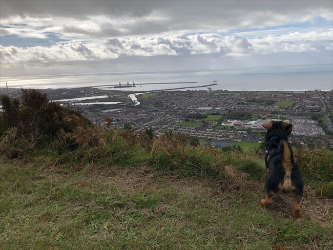 Enjoy the views out over Port Talbot and beyond