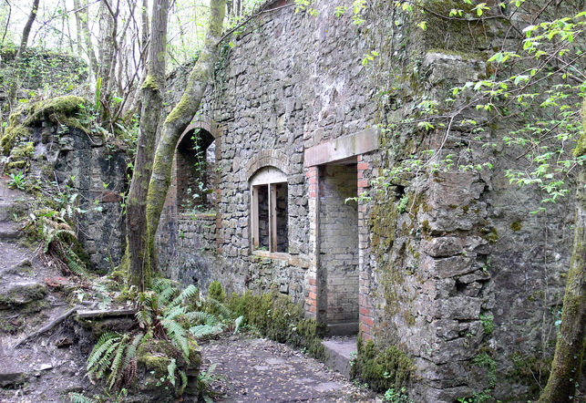 The ruins of Fussell's Ironworks, Mells