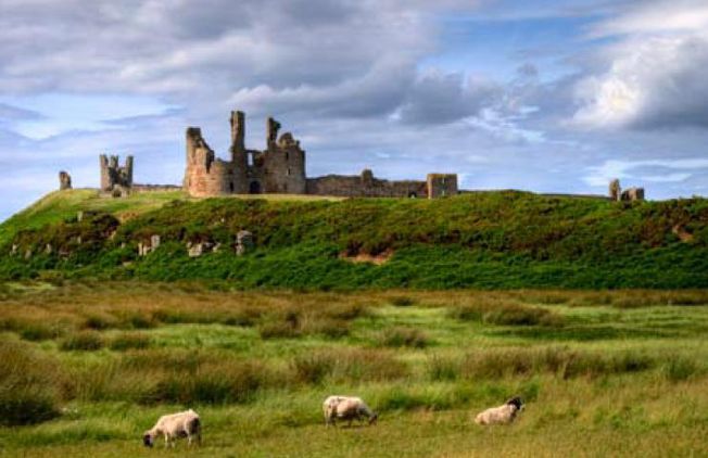 Dunstanburgh castle from the Coast Path
