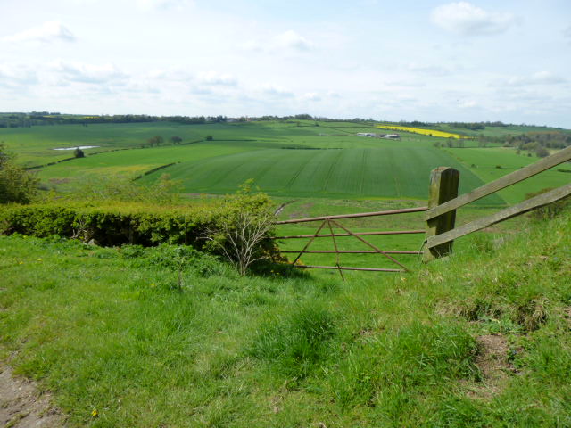 Returning to Terrington