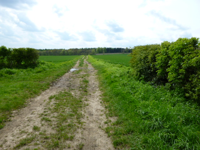 Track across the fields to Hovingham