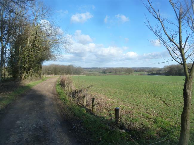 The Long Walk near Perrywood Farm