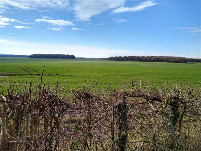 The view west from Owls Lodge