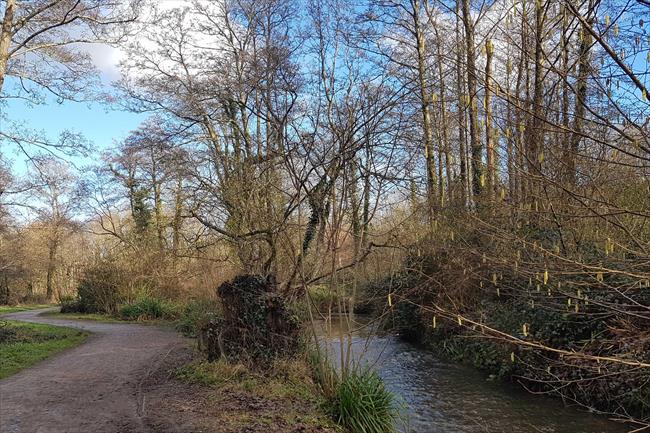 Tadburn Brook
