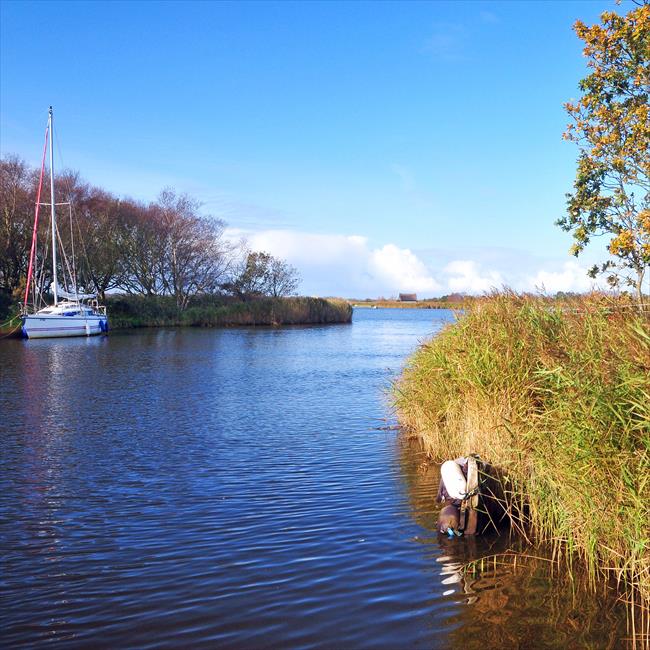 View over Horsey Mere from near the start of the walk