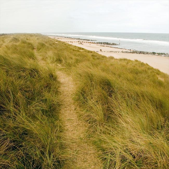 View north from the dunes above the beach at Horsey